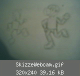 SkizzeWebcam.gif