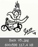 Duck 05.jpg