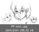 PM test.jpg