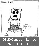 BILD-Comics 021.jpg