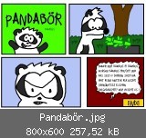 Pandabör.jpg