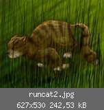 runcat2.jpg