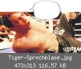 Tiger-Sprechblase.jpg