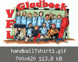 handballTshirt1.gif
