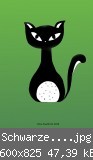Schwarze Katze-verkl..jpg