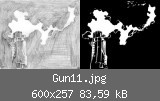 Gun11.jpg