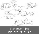 elefanten.jpg