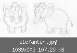 elefanten.jpg