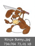 Ninja Bunny.jpg