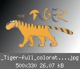 _Tiger-full_colorated0001.jpg