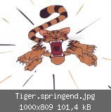 Tiger.springend.jpg