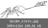 Spider_klein.jpg