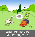 Schaf-für-Net.jpg
