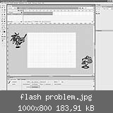 flash problem.jpg