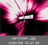 warflower.jpg