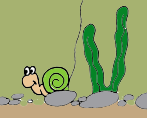 ausschnitt007.gif