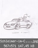 Schleimer-im-Cabrio.jpg