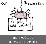 spinneo6.jpg