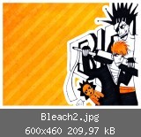 Bleach2.jpg