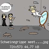 Schweinegrippe meets Harry Potter.jpg