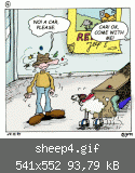 sheep4.gif