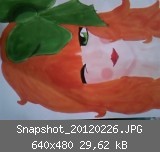 Snapshot_20120226.JPG