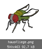 hausfliege.png