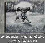 springender Hund acryl.jpg