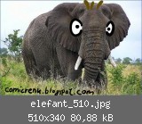 elefant_510.jpg