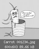 Carrot 001234.jpg