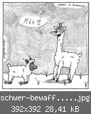 schwer-bewaff.net277.jpg