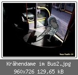 Krähendame im Bus2.jpg