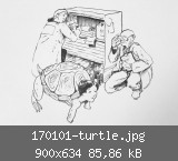 170101-turtle.jpg