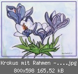 Krokus mit Rahmen -verkl..jpg