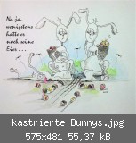 kastrierte Bunnys.jpg