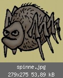 spinne.jpg