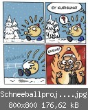 Schneeballprojek_webt.jpg