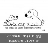 20230416 dogs f.jpg