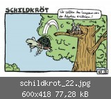 schildkrot_22.jpg