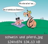 schwein und pferd.jpg