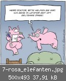 7-rosa_elefanten.jpg