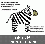 zebra.gif