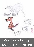 Real Rat(1).jpg