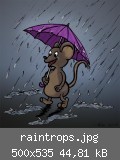 raintrops.jpg
