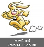 hase2.jpg